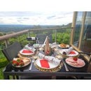 Fly Fan Repeller - Gold | 0021G - Home of 12 Volt Online