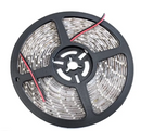 LED Strip lighting 5mt roll 2835SMD 120 LED IP65 Waterproof Cool White | HIR-CW5MT