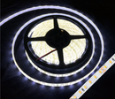 LED Strip lighting 5mt roll 2835SMD 120 LED IP65 Waterproof Cool White | HIR-CW5MT
