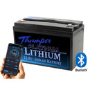 2 x Thumper Lithium 160 AH Platinum LiFePO4 batteries & 2 x Storage boxes