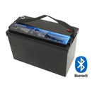 TWIN PACK - Thumper Lithium 100 AH LiFePO4 Prismatic Battery 100 Amp BMS BLUETOOTH | TL-100BT  *5yr warranty - Easter special price - Home of 12 Volt Online