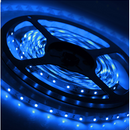 LED Strip lighting 5mt roll 5050SMD Waterproof Electric BLUE | HIR-BL5MT - Home of 12 Volt Online
