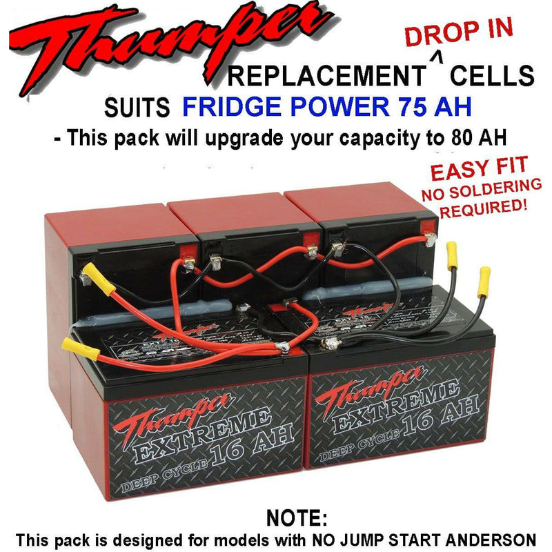Thumper replacement batteries to suit FRIDGE POWER 75 AH (DIP-FP80) - Home of 12 Volt Online